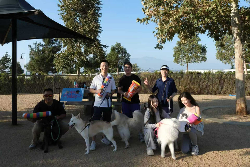 Wafa Dogie Club