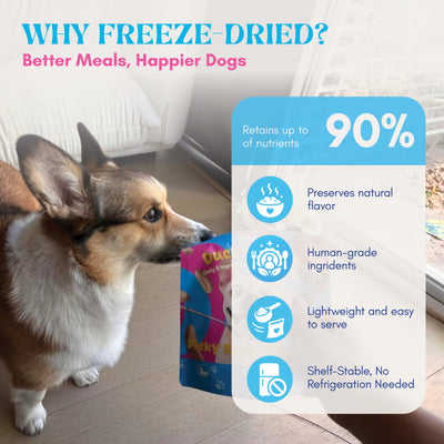Sammi Topper — Freeze-Dried Wild Salmon