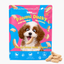 The Pawmart Freeze-Dried Pawmi Ducky Treats