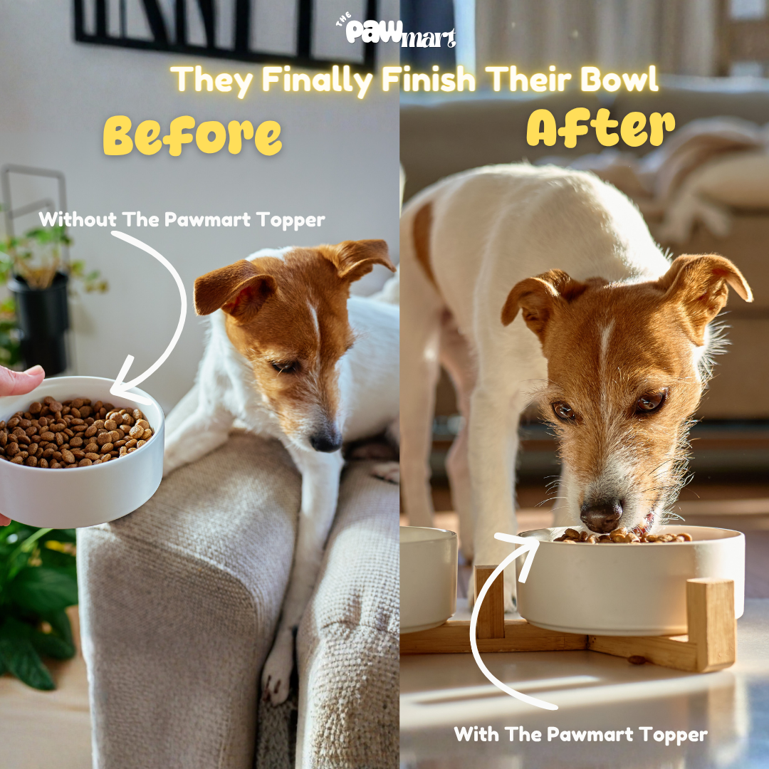 The Pawmart Freeze-Dried Dog Food Topper Bundle | Duck + Salmon | Only 3 Ingredients Each | Clean, High-Protein Meal Enhancers For Dogs