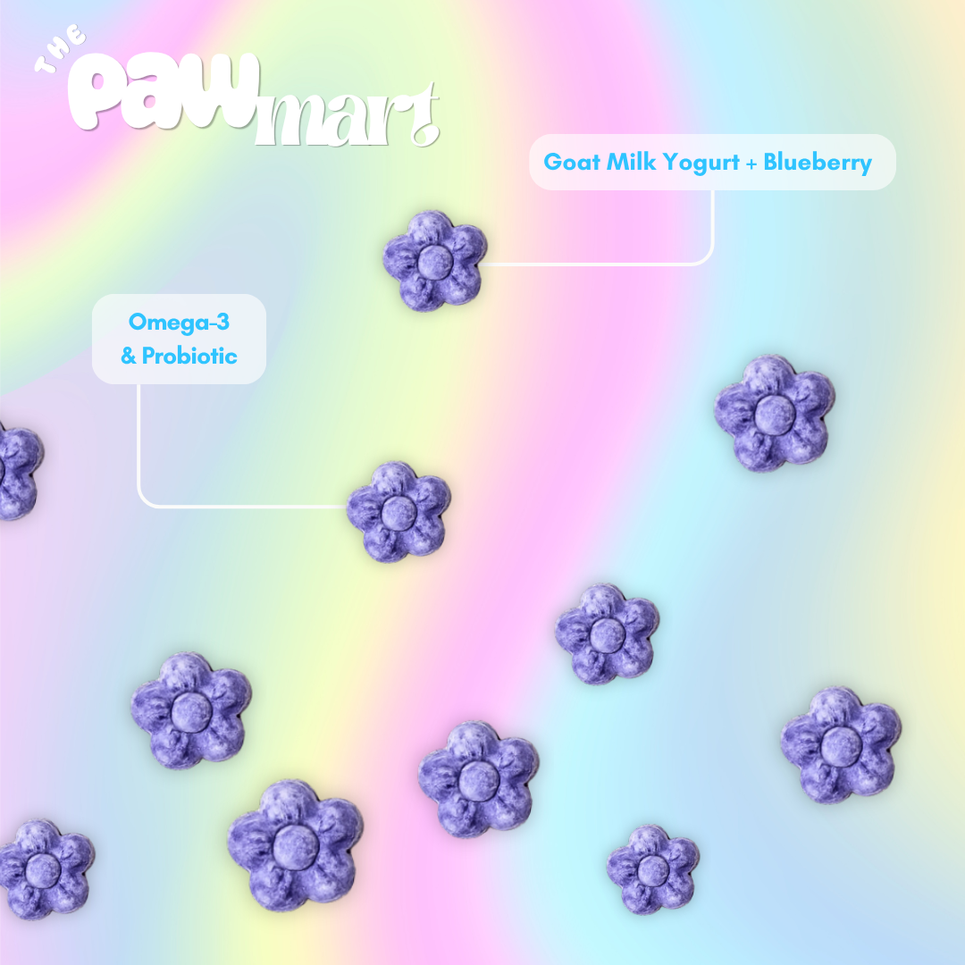 The Pawmart Freeze-Dried Blueberry Goat Milk Yogurt Dog Treat Blind Box With Mystery Collar - Limited Edition Pet Gift Box