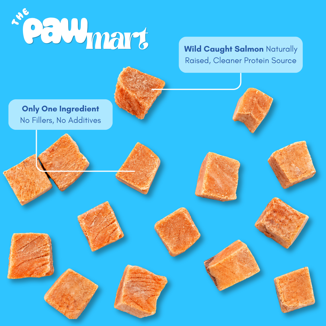 The Pawmart Freeze-Dried Pawmi Salmi Treat