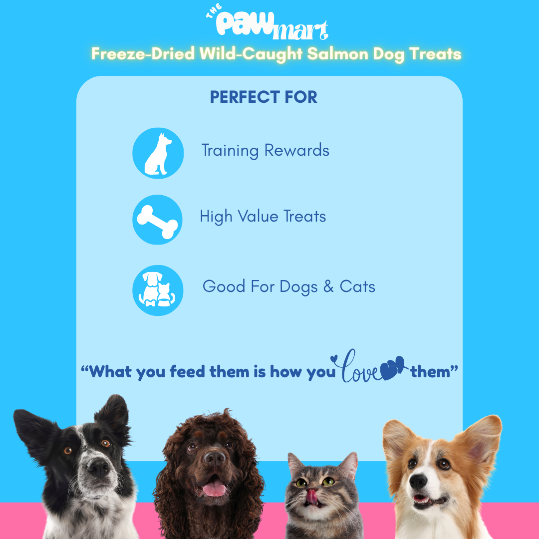 The Pawmart Freeze-Dried Pawmi Salmi Treat