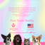 The Pawmart Freeze-Dried Blueberry Goat Milk Yogurt Dog Treat Blind Box With Mystery Collar - Limited Edition Pet Gift Box