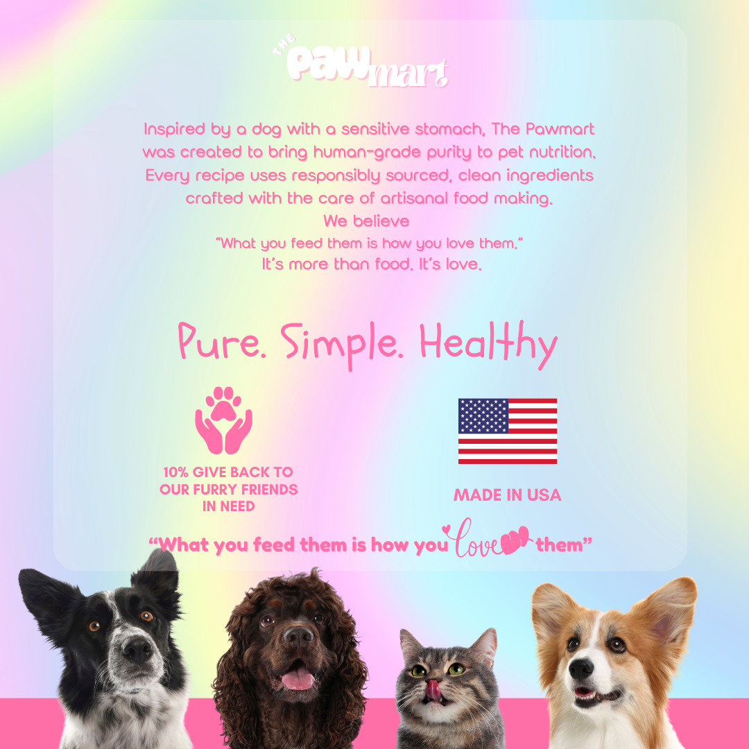 The Pawmart Freeze-Dried Blueberry Goat Milk Yogurt Dog Treat Blind Box With Mystery Collar - Limited Edition Pet Gift Box