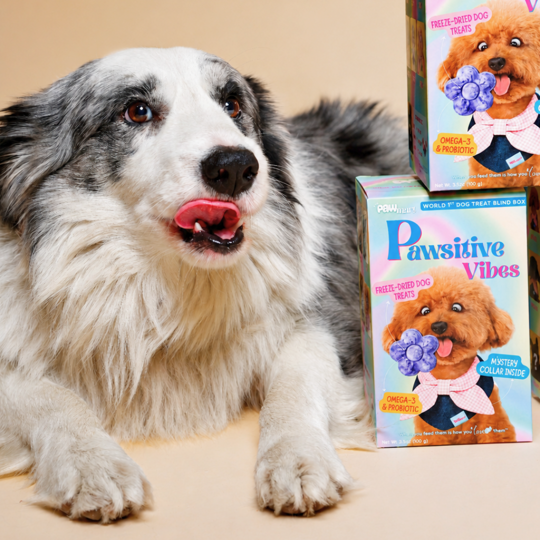 The Pawmart Freeze-Dried Blueberry Goat Milk Yogurt Dog Treat Blind Box With Mystery Collar - Limited Edition Pet Gift Box