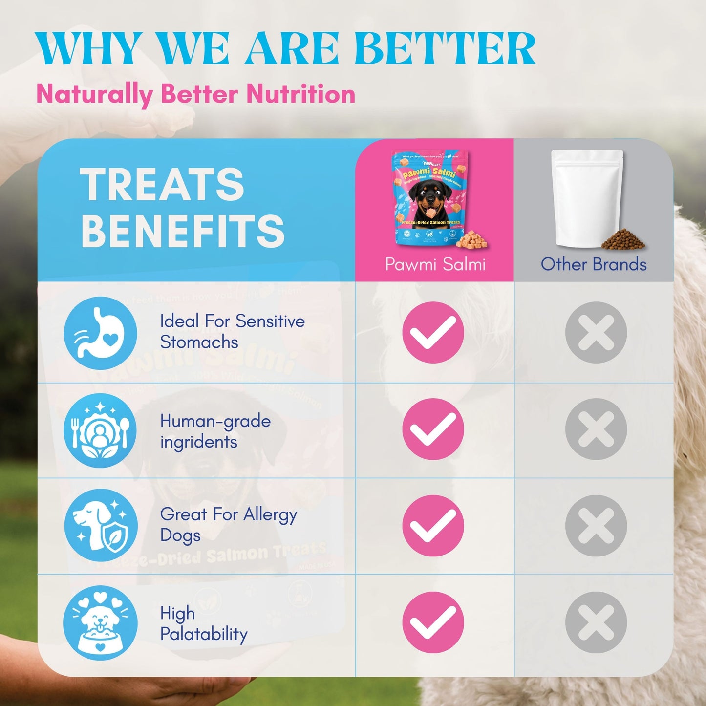 The Pawmart Freeze-Dried Pawmi Salmi Treat