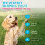 The Pawmart Freeze-Dried Pawmi Salmi Treat