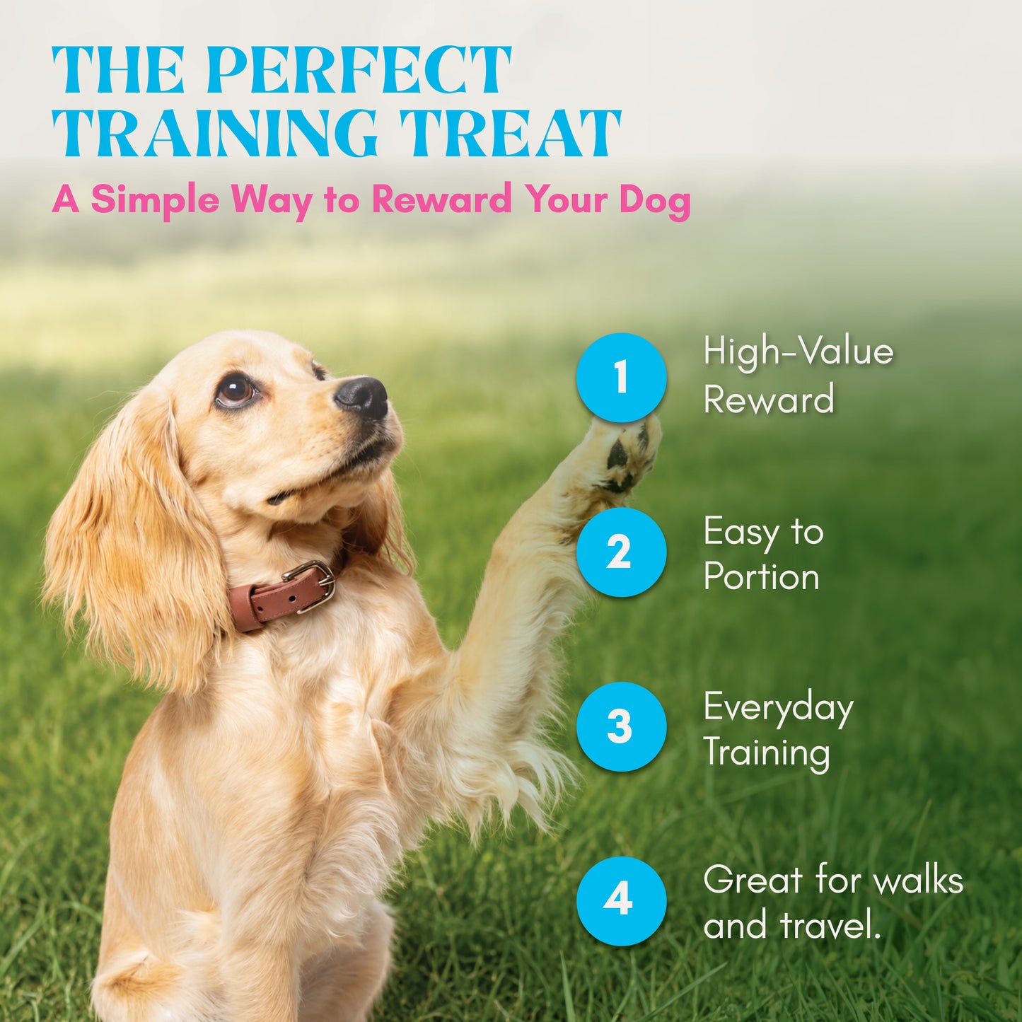 The Pawmart Freeze-Dried Pawmi Salmi Treat