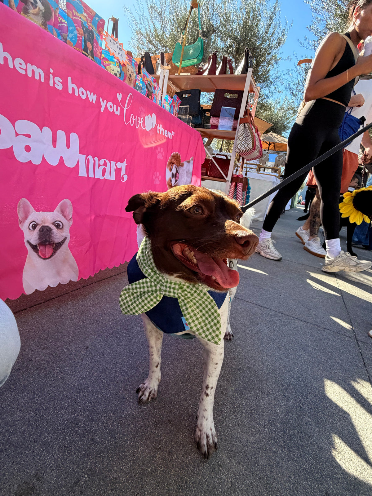 A brown-and-white dog in a green bow tie beside The Pawmart's pink booth at 714 Market in Long Beach.