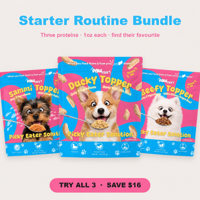Starter Routine Bundle — Ducky, Sammi and Beefy toppers, three 1oz bags