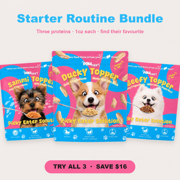 Starter Routine Bundle — Duck, Salmon & Beef Toppers