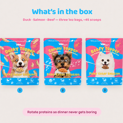 What is in the box — three 1oz bags with corrected Beefy face, about 45 scoops